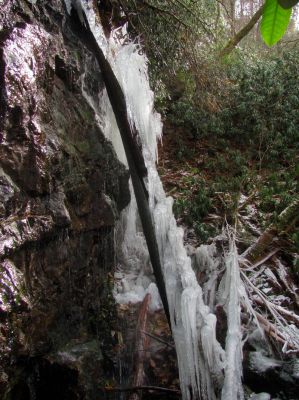 Upper upper upper upper upper Dick Creek Falls - Taken 11-22-2014
