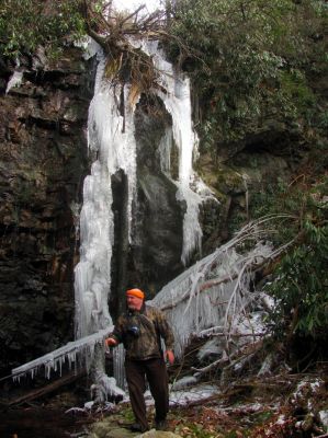 Upper upper upper upper upper Dick Creek Falls - Taken 11-22-2014
