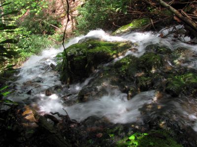 Taken April 25, 2012
