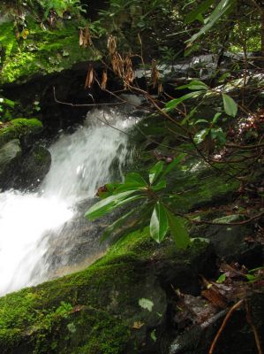 Taken April 25, 2012
