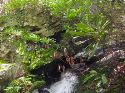 Taken April 25, 2012
