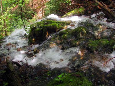 Taken April 25, 2012
