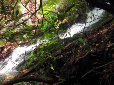 Taken April 25, 2012
