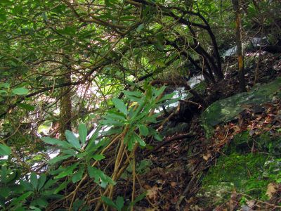 Taken April 25, 2012
