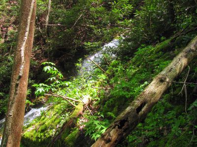 Taken April 25, 2012
