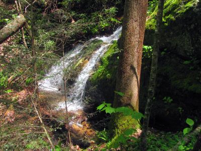 Taken April 25, 2012
