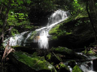 Taken April 25, 2012
