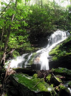 Taken April 25, 2012
