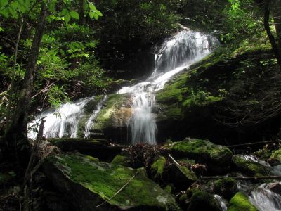 Taken April 25, 2012
