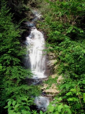Walker Falls (North Carolina)
Taken 7-10-2011
