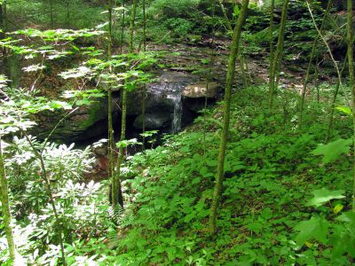 Whetstone Branch Falls (Lower)
Taken 6-25-2011

