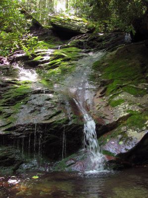 Whetstone Branch Falls (Upper)
Taken 6-25-2011
