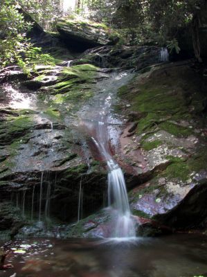 Whetstone Branch Falls (Upper)
Taken 6-25-2011
