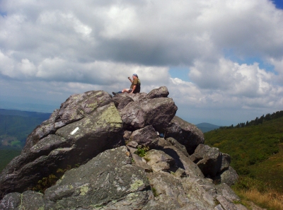 Rat on cliff