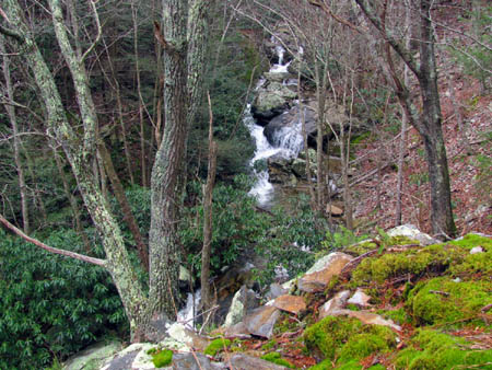 View of the Devils Creek Valley 