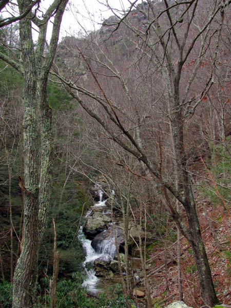 View of the Devils Creek Valley 