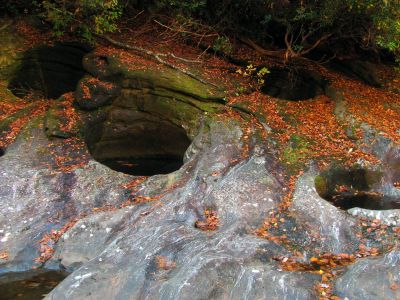 The gorge is filled with numerous pot holes carved out by millions of years of water flowing. Some of these are extremely deep and with the slick leaves you could easily slip into one. Many have slick sides so hiking here alone is definitely not advisable. 
