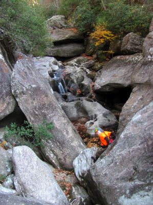 Badger at Granny`s Pantry falls 
