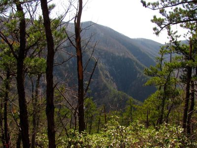 Buckeye Falls as seen from Chigger Ridge - Taken 3-12-2011
