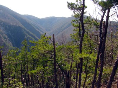 Buckeye Falls as seen from Chigger Ridge - Taken 3-12-2011
