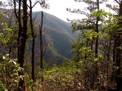 Buckeye Falls as seen from Chigger Ridge - Taken 3-12-2011

