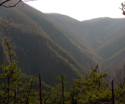 Buckeye Falls as seen from Chigger Ridge - Taken 3-12-2011
