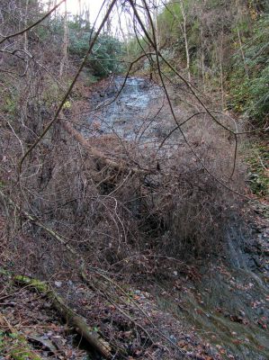Delsatch (Chigger Branch) Falls
Taken 11-22-2010
