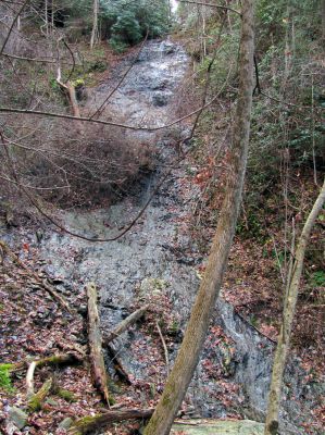 Delsatch (Chigger Branch) Falls
Taken 11-22-2010
