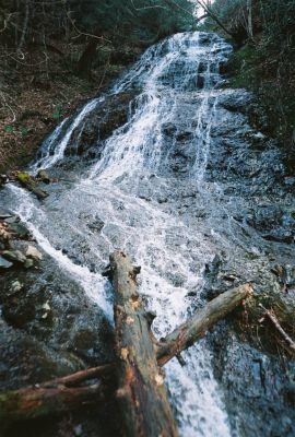 Delsatch (Chigger Branch) Falls
Photo by Bol'Dar
