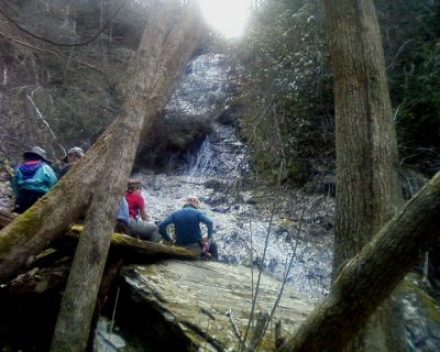 Delsatch (Chigger Branch) Falls
Photo by Melissa Braswell
