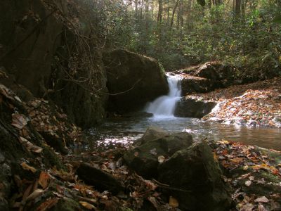 Devil Fork Cascades
Third set of cascades found on Devil Fork Creek (taken 10-17-2010) 
