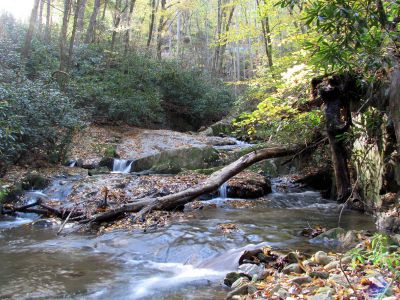 Devil Fork Cascades
Fourth set of cascades found on Devil Fork Creek (taken 10-17-2010)
