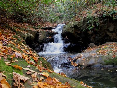 Devil Fork Falls
Upper Devil Fork Falls (taken 10-19-2010)
