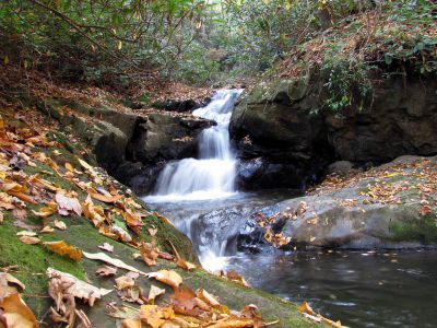 Devil Fork Falls
Upper Devil Fork Falls (taken 10-19-2010)
