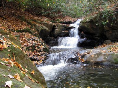 Devil Fork Falls
Upper Devil Fork Falls (taken 10-19-2010)
