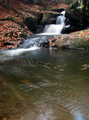 Devil Fork Falls
Upper Devil Fork Falls (taken 10-19-2010)
