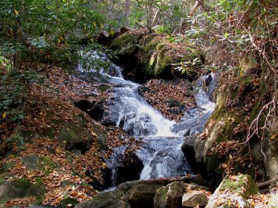 Devil Fork Falls
More falls we found above the Upper Devil Fork Falls. This was a 'double falls' (taken 10-19-2010)
