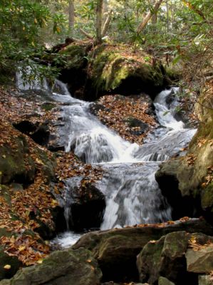 Devil Fork Falls
More falls we found above the Upper Devil Fork Falls. This was a 'double falls' (taken 10-19-2010)
