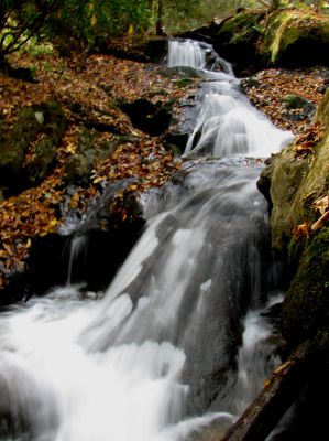 Devil Fork Falls
More falls we found above the Upper Devil Fork Falls. This was a 'double falls'. This is the left side. (taken 10-19-2010)
