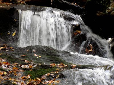 Devil Fork Falls
More falls we found above the Upper Devil Fork Falls. This was a 'double falls'. Close up of one small part. (taken 10-19-2010)
