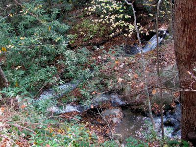 Devil Fork Falls
Looking down from above the 'double falls' we found just above the Upper Devil Fork Falls (taken 10-19-2010)
