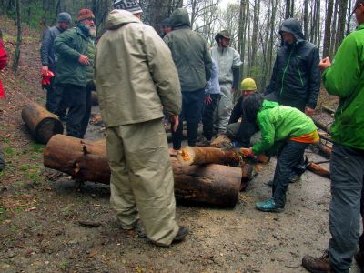 How much wood can a woodchuck chuck, if its raining and he has a saw and lots of help ? 
