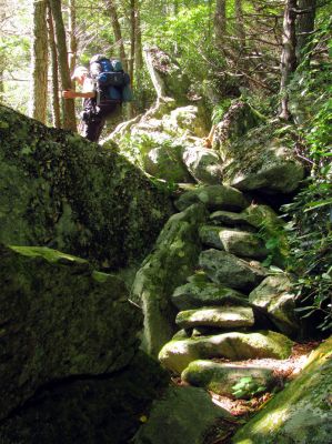 Bol'Dar on the Tanawha Trail
