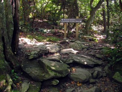 Trail to the Beacon Heights Overlook
