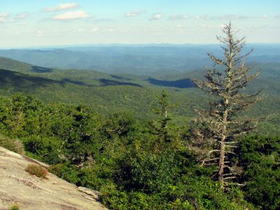Beacon Heights Overlook
