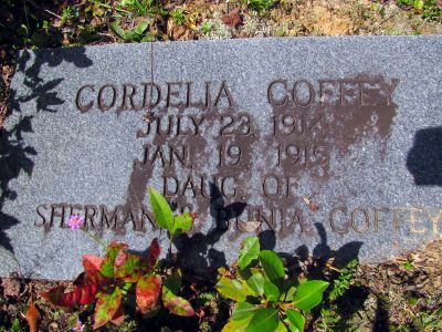 Tombstone in the old graveyard
