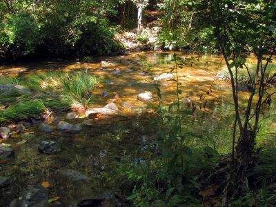 crossing N. Harper Creek 
