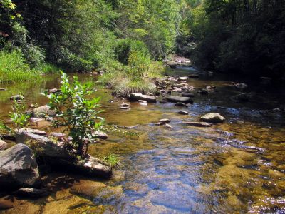 crossing Harper Creek 
