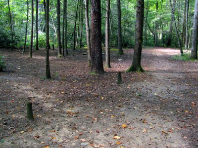 some of the bigger campsites at the trail intersection of Raider Camp Creek
