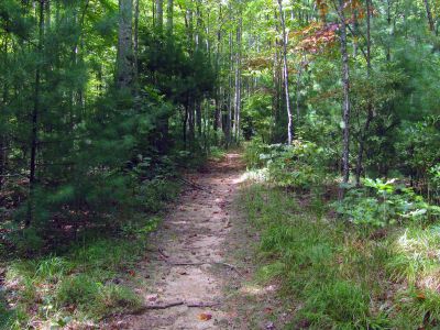 Trail after it leveled out some at the head of the Raider Camp Creek Hollow
